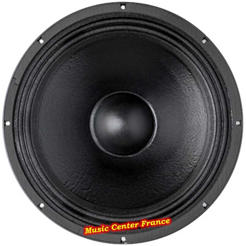 B&C Speakers 18PZB100 vue de la membrane