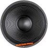 B&C Speakers 18TBX100 vue de la membrane